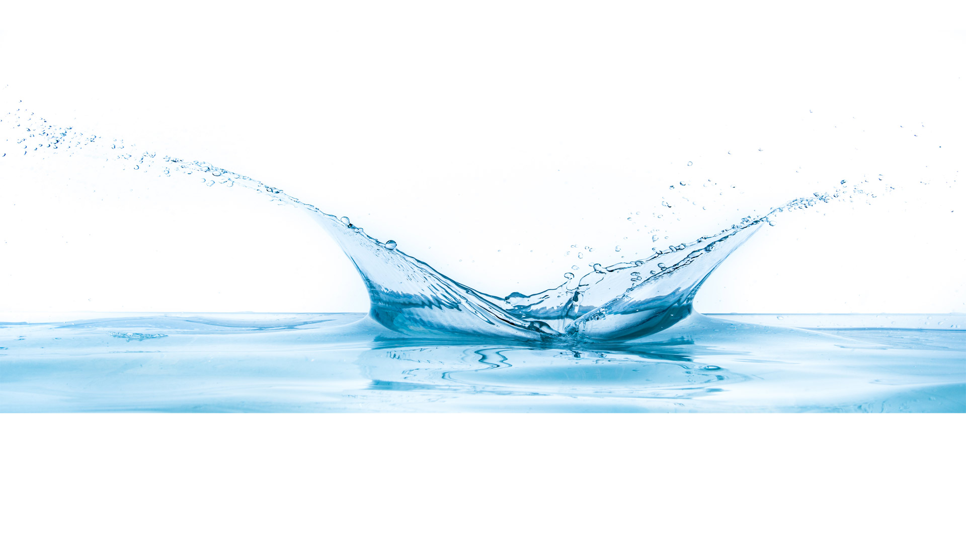 Fluids Fluids